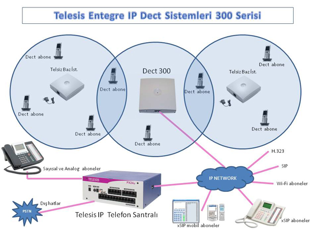 Dect 300