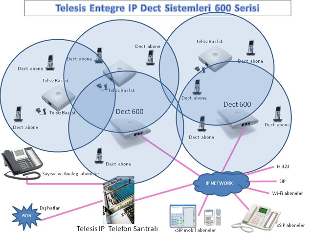 Dect 600